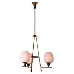 Chandeliers and Pendants