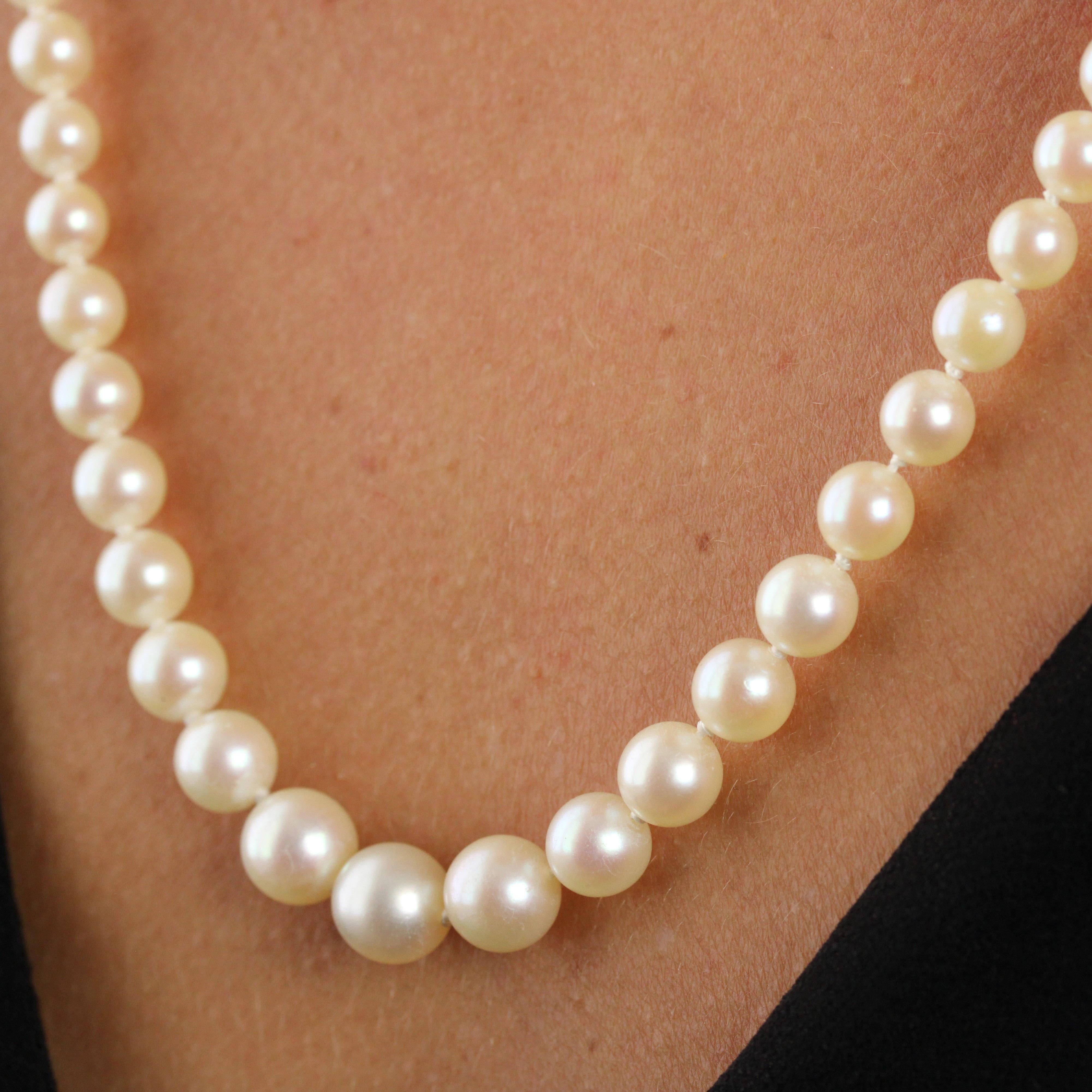1950s Japanese Cultured Round White Pearl Necklace For Sale 1