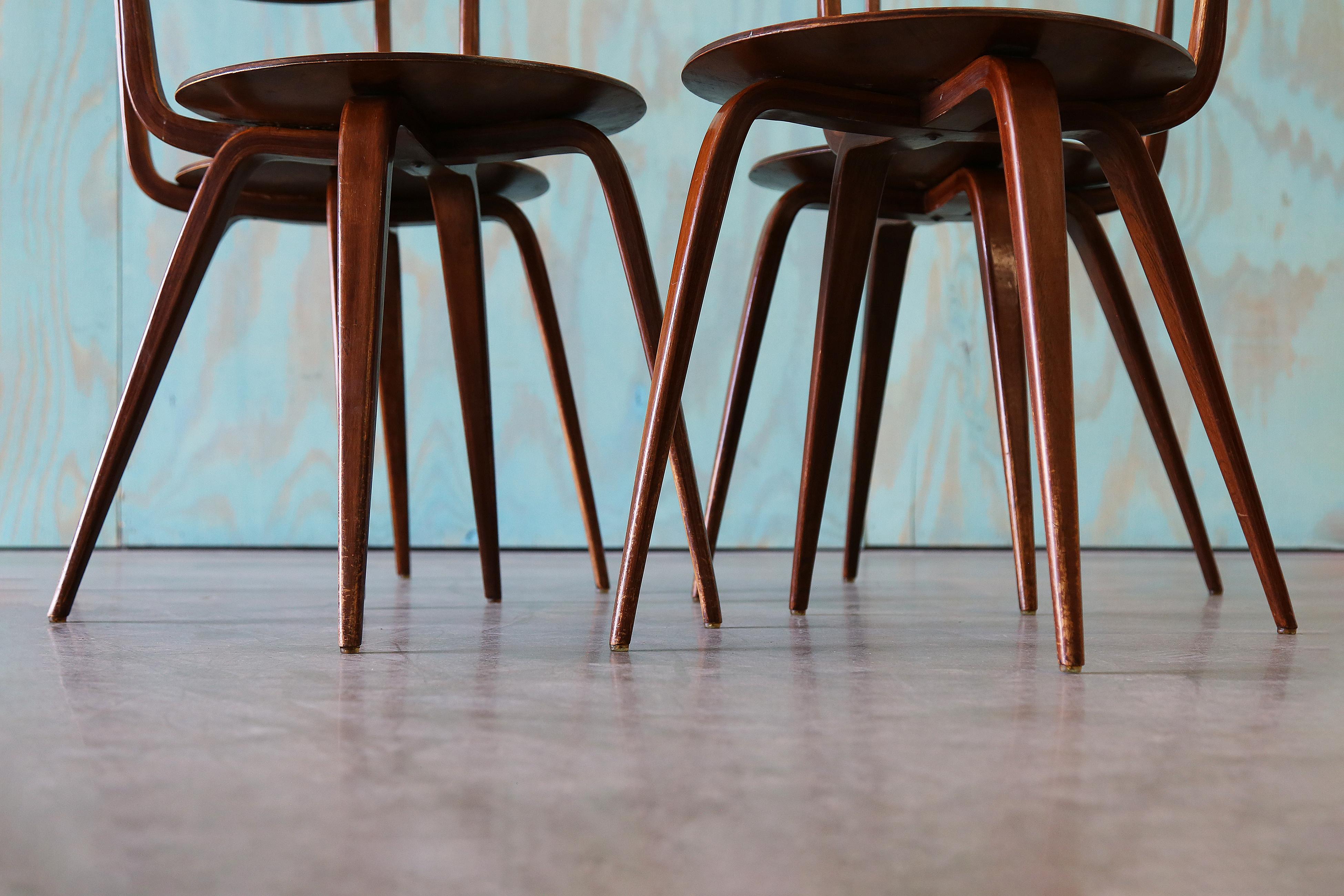 Betulla Set di 4 sedie Pretzel in laminato John Pyle for George Nelson Associates del 1950 in vendita