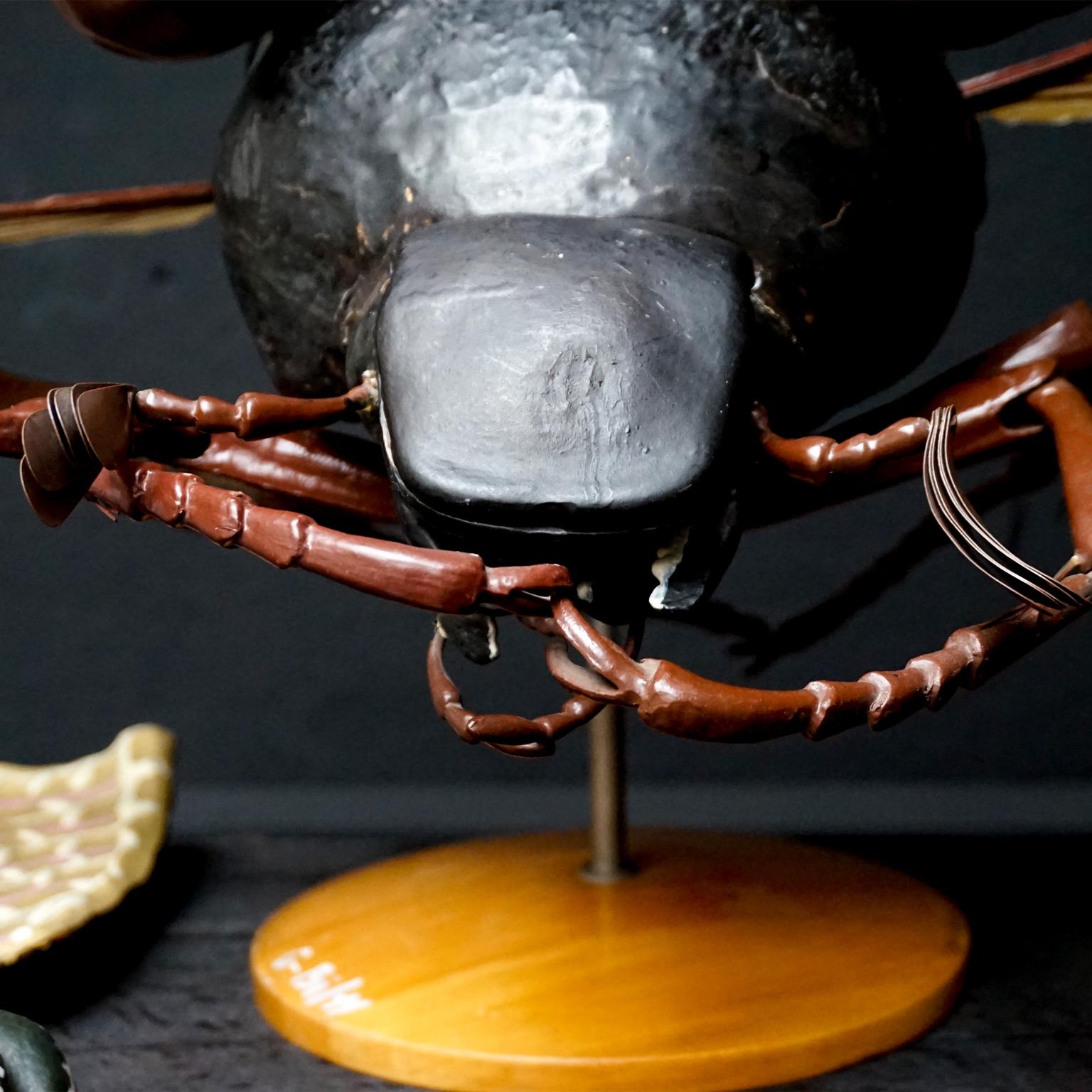 1950s Large Anatomical Classroom Model of a Flying May Bug 5