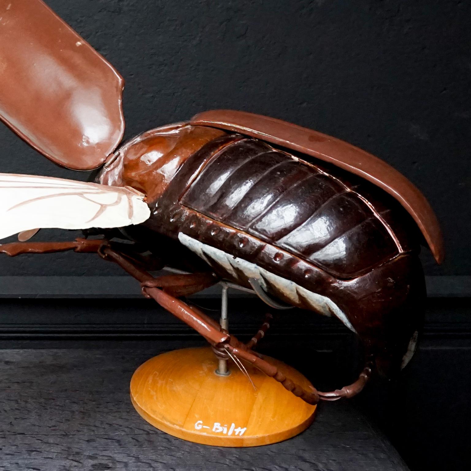 Metal 1950s Large Anatomical Classroom Model of a Flying May Bug
