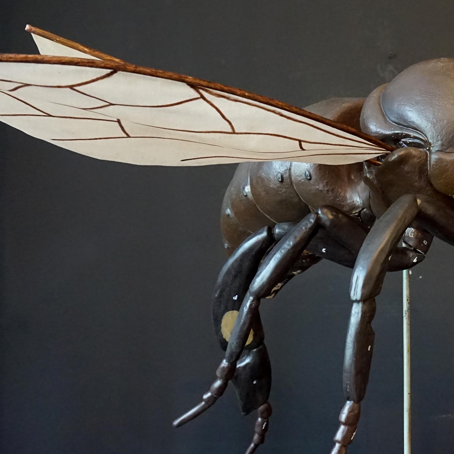 1950s Large Anatomical German Classroom Cut Away Model of a Honey or Worker Bee 4