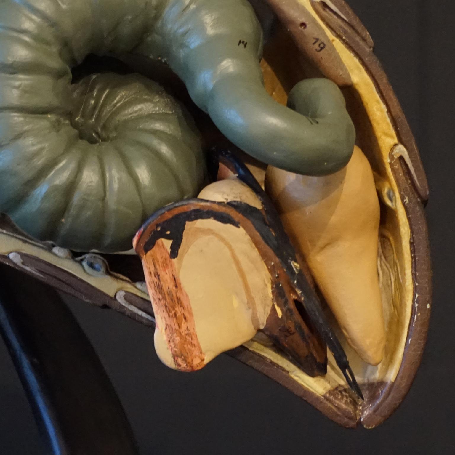 Hand-Carved 1950s Large Anatomical German Classroom Cut Away Model of a Honey or Worker Bee