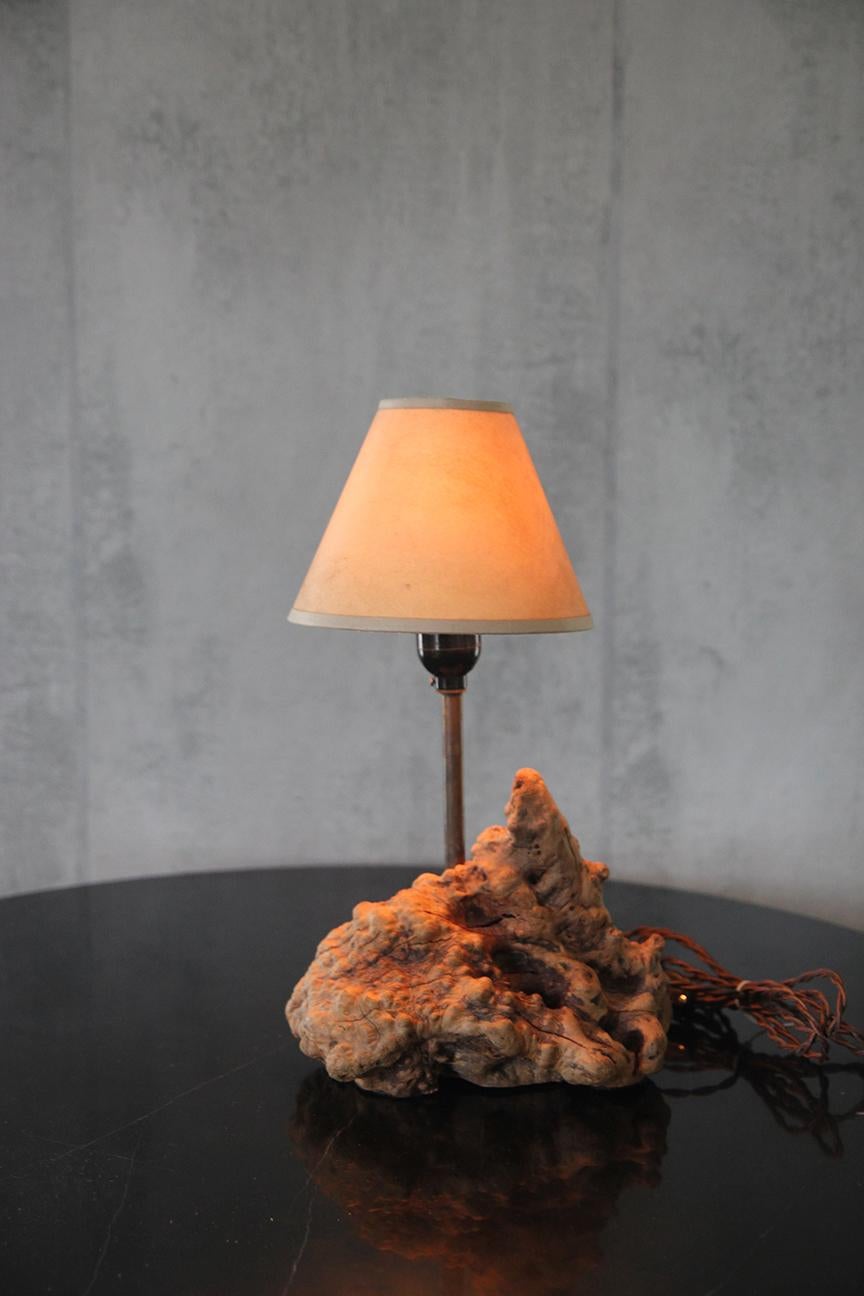 1950er große organische Tischlampe Wurzelholz American Craft mit Pergamentschirm im Angebot 4