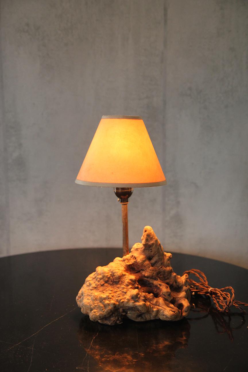 1950er große organische Tischlampe Wurzelholz American Craft mit Pergamentschirm im Angebot 5