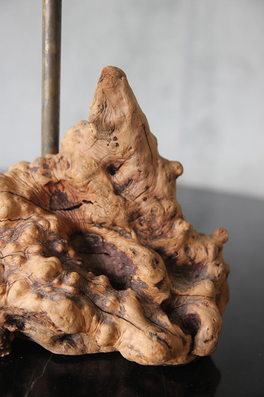 1950er große organische Tischlampe Wurzelholz American Craft mit Pergamentschirm (Moderne der Mitte des Jahrhunderts) im Angebot