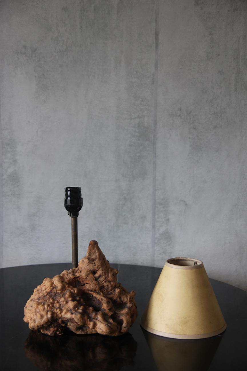 1950er große organische Tischlampe Wurzelholz American Craft mit Pergamentschirm (amerikanisch) im Angebot