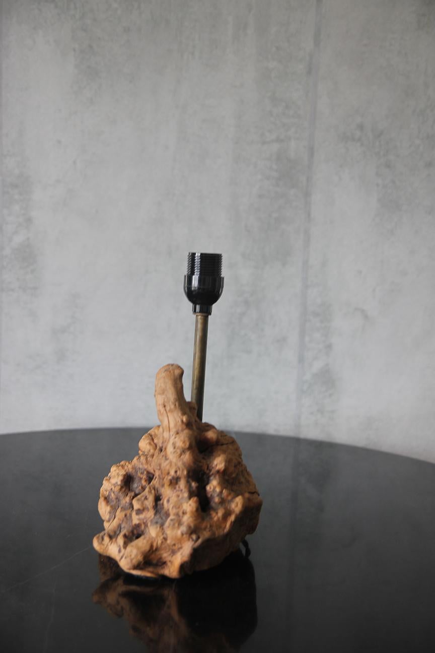 1950er große organische Tischlampe Wurzelholz American Craft mit Pergamentschirm im Zustand „Gut“ im Angebot in Los Angeles, CA