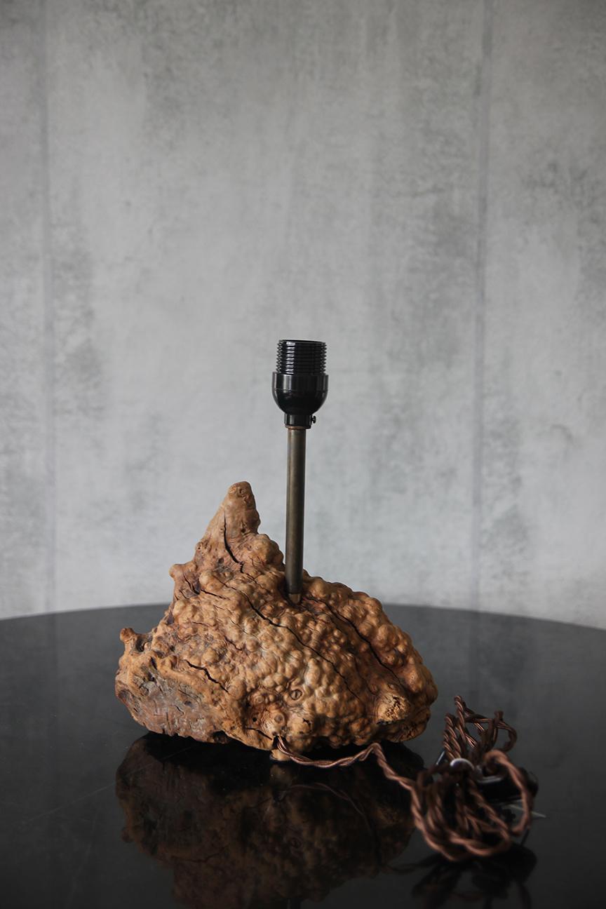 1950er große organische Tischlampe Wurzelholz American Craft mit Pergamentschirm (Mitte des 20. Jahrhunderts) im Angebot