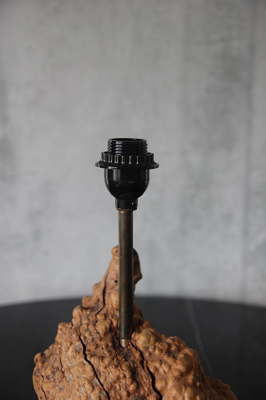 1950er große organische Tischlampe Wurzelholz American Craft mit Pergamentschirm im Angebot 2