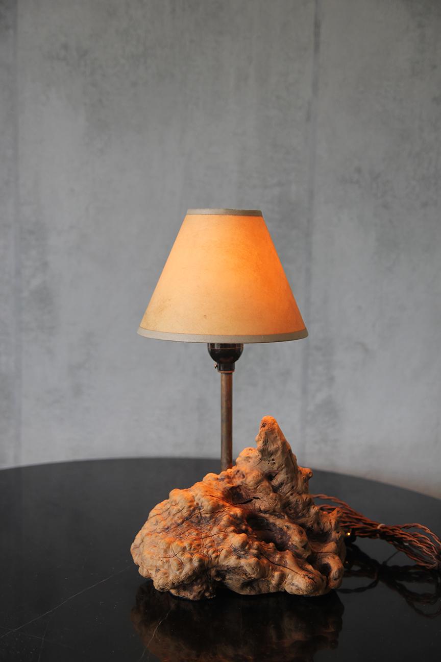 1950er große organische Tischlampe Wurzelholz American Craft mit Pergamentschirm im Angebot 3