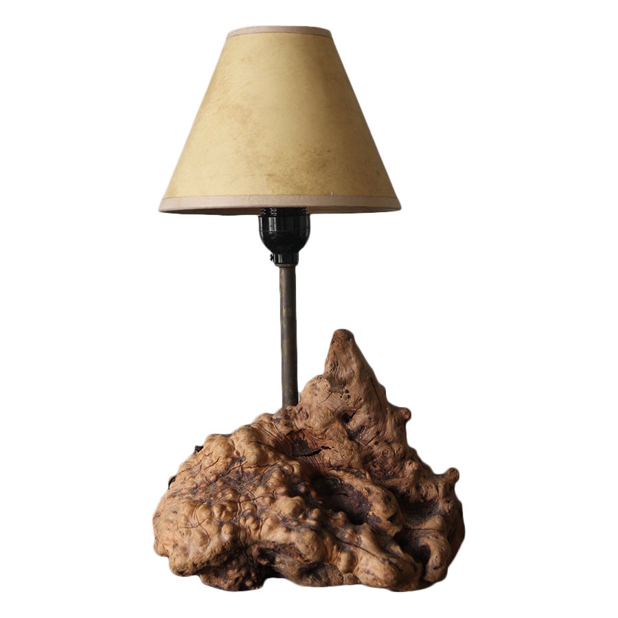 1950s Large Organic Table Lamp Burl Wood American Craft With Parchment Shade