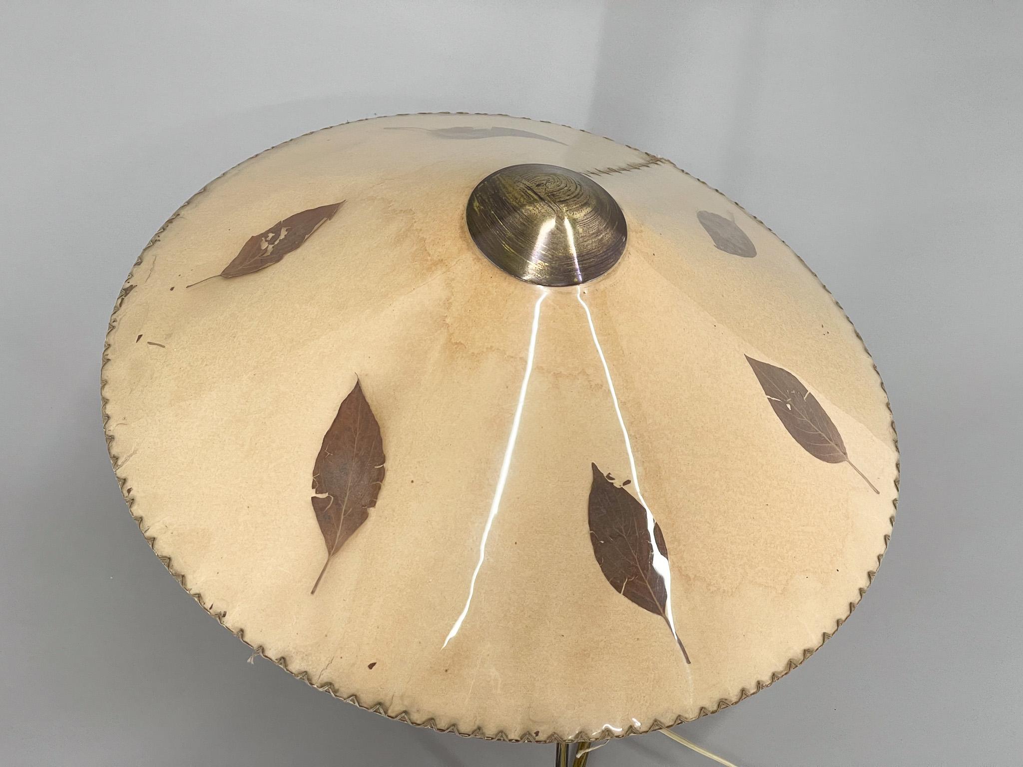 Grande lampe de table ou applique rare des années 1950 par Helena Frantova pour Okolo, Tchécoslovaquie en vente 2