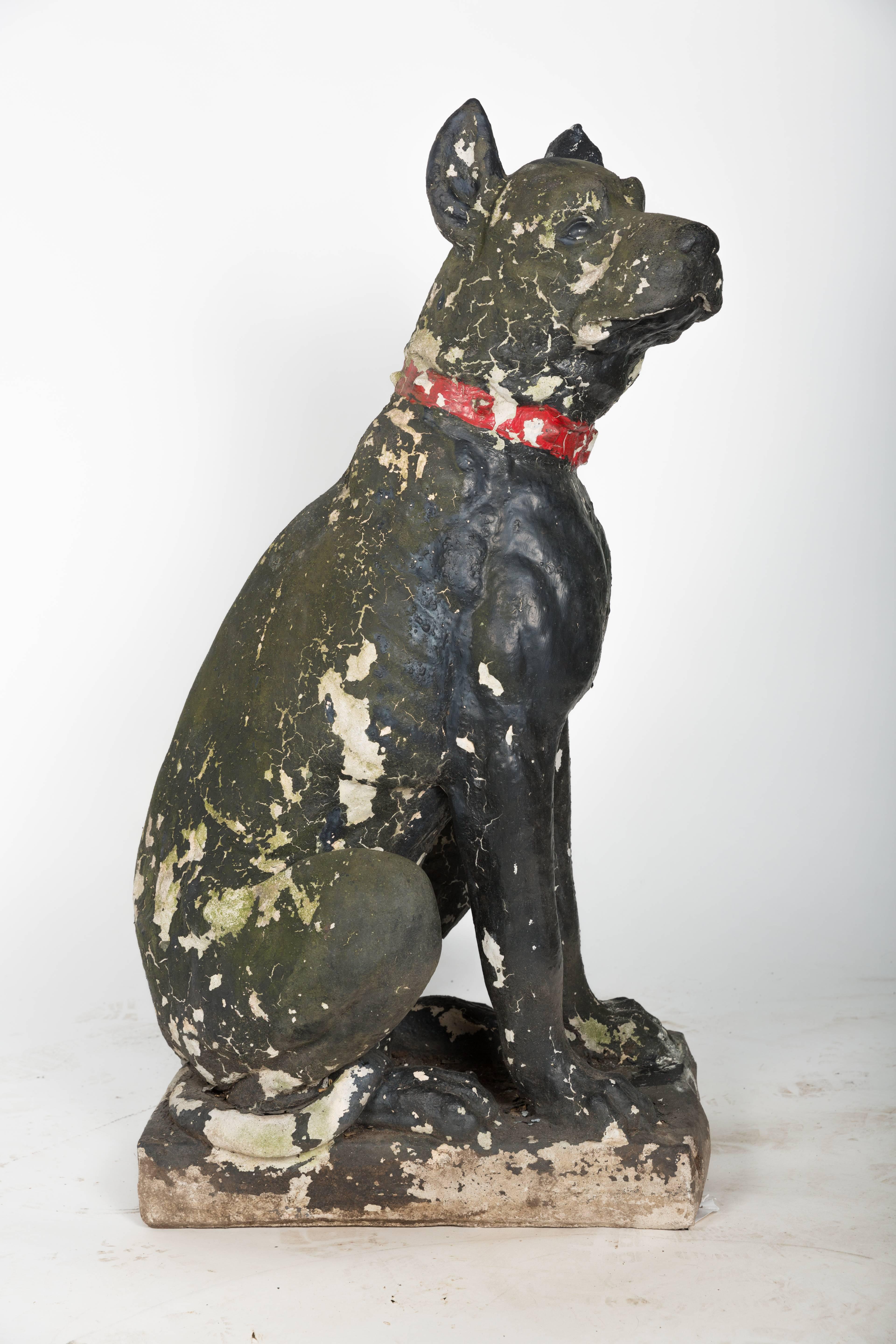 Bought out of a Greenwhich, Connecticut estate, where this concrete Great Dane stood guard for the past 60 years. He's Big!
Great unique piece.