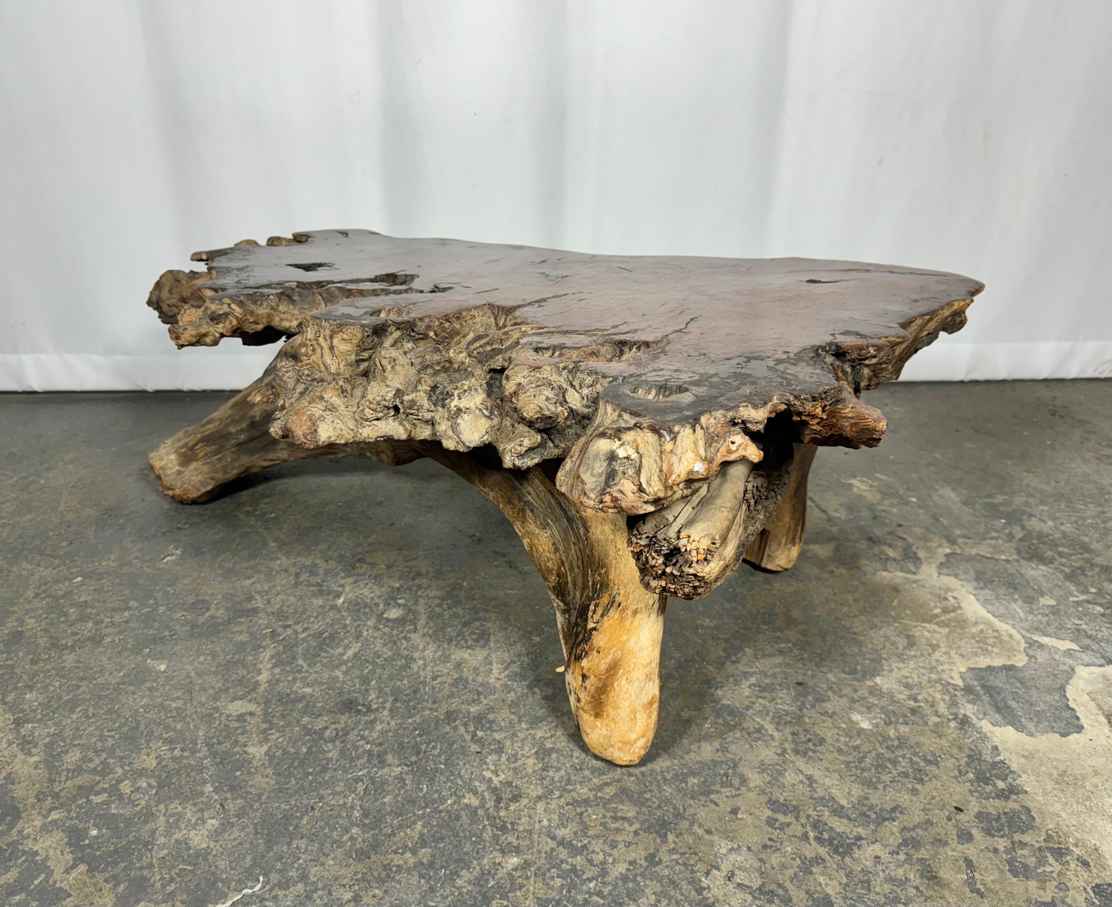 American 1950s Live Edge Burl Redwood Wood Coffee Table / adirondak / rustic For Sale
