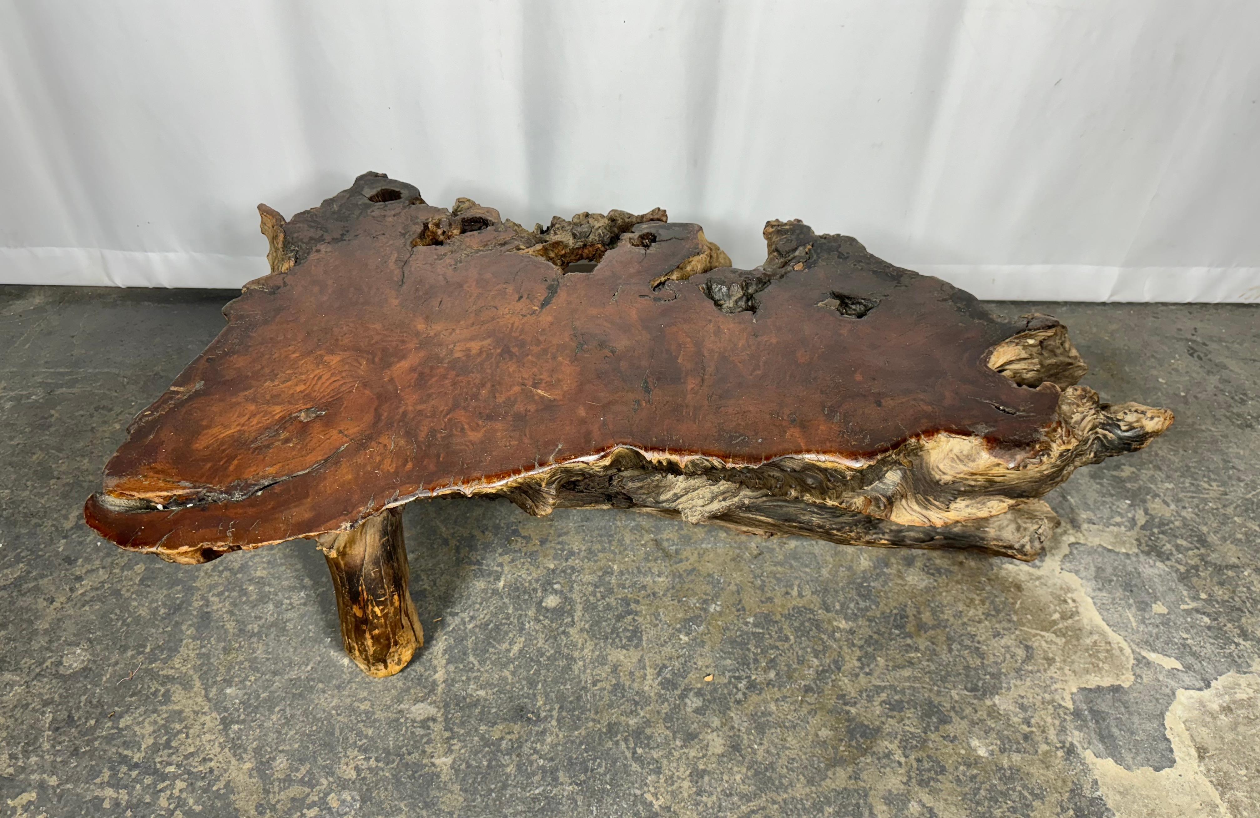 1950s Live Edge Burl Redwood Wood Coffee Table / adirondak / rustic For Sale 1