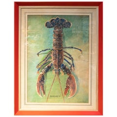 1950s Lobster Watercolor Painting Signed M. Calleja Rajel