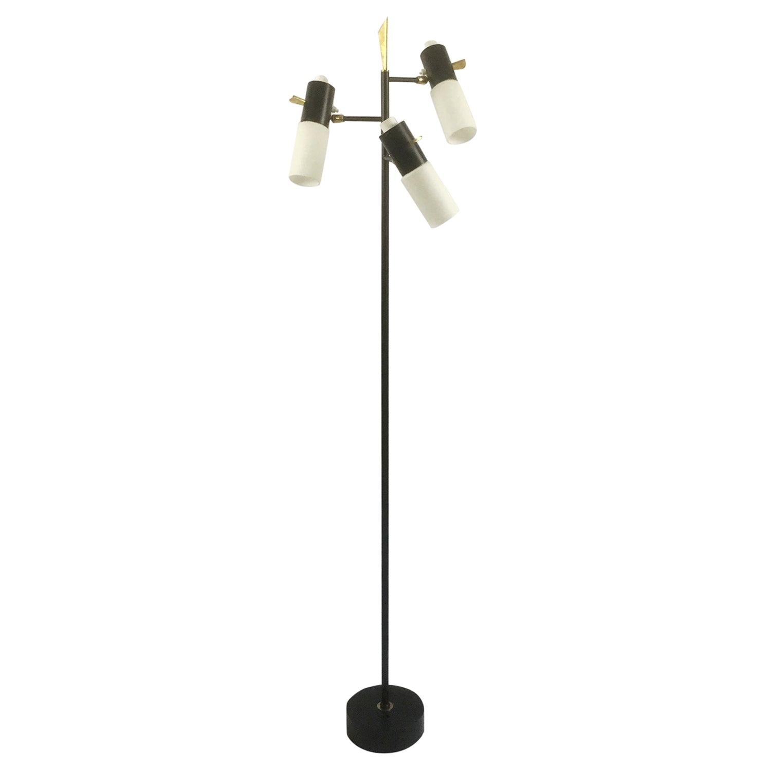 1950s Maison Lunel Floor Lamp Attributed to Jean Boris Lacroix