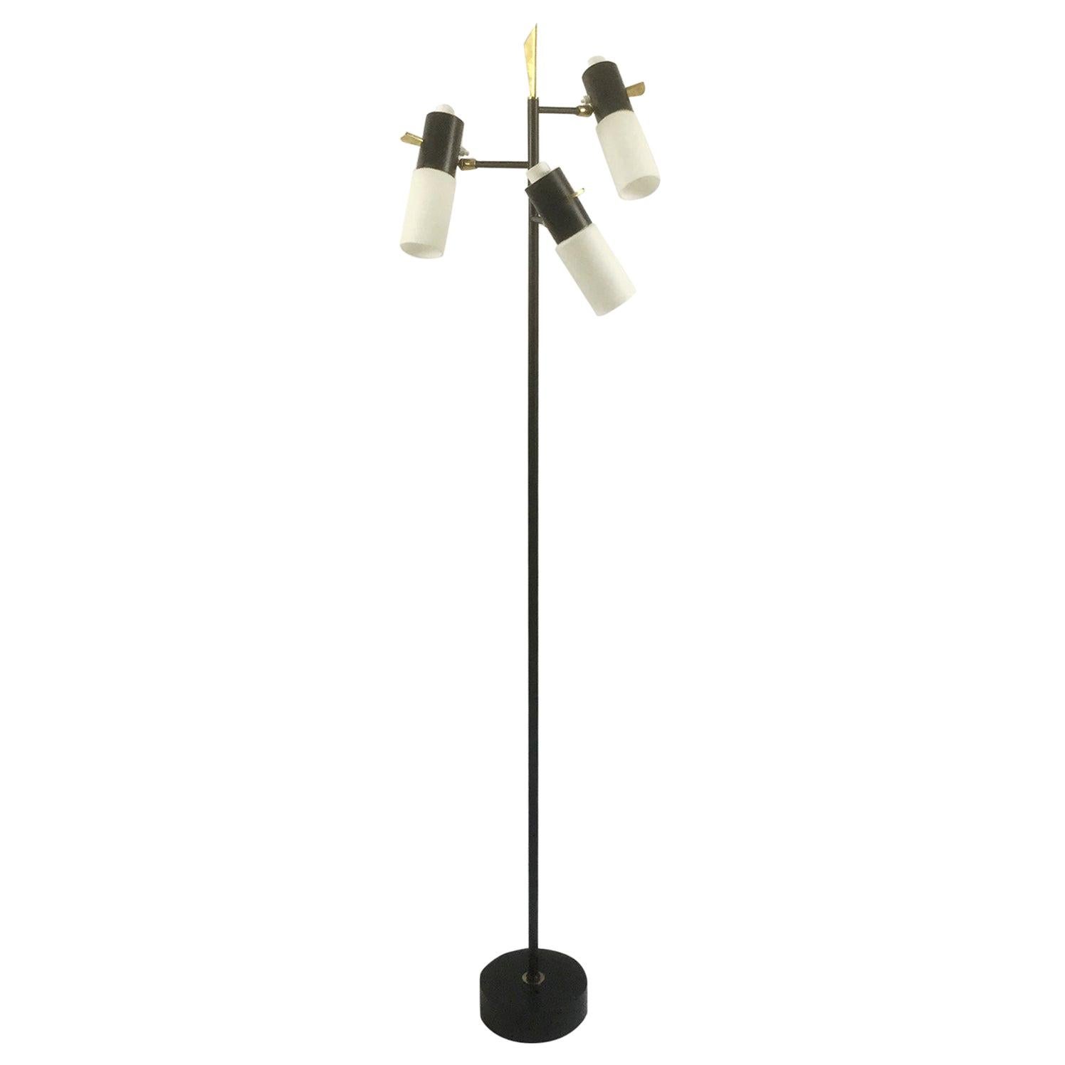 1950s Maison Lunel Floor Lamp Attributed to Jean Boris Lacroix, France For Sale