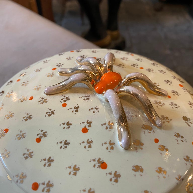 It's a lovely spider ceramic box made by Pucci in the Classic colors of manufacture. It's in excellent vintage conditions. It's signed on the bottom.
