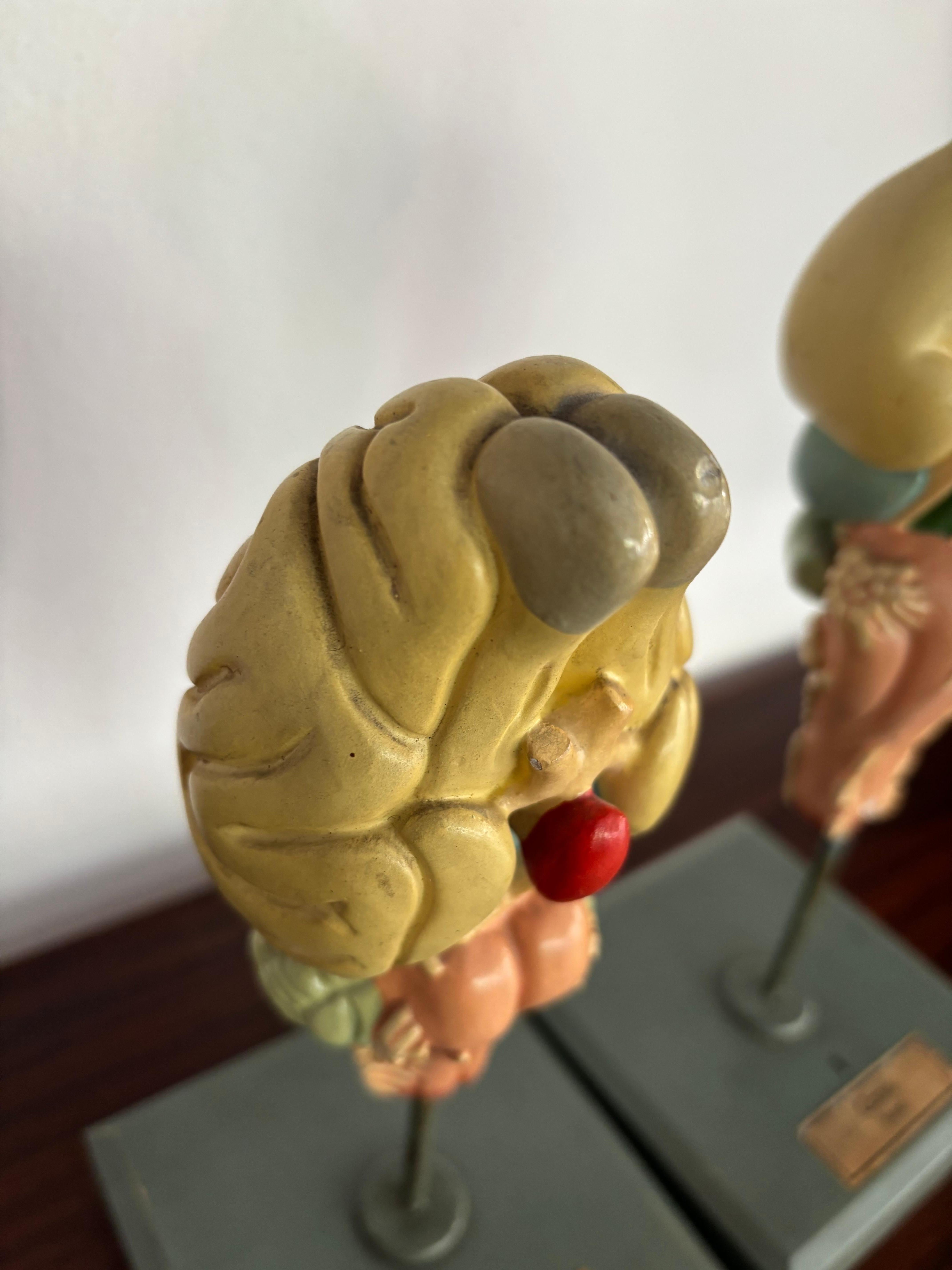 Mid-20th Century 1950s Midcentury Design English Anatomical Models University For Sale