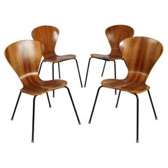 1950s Molded Exotic Wood Chairs in Style of Tapio Wirkkala