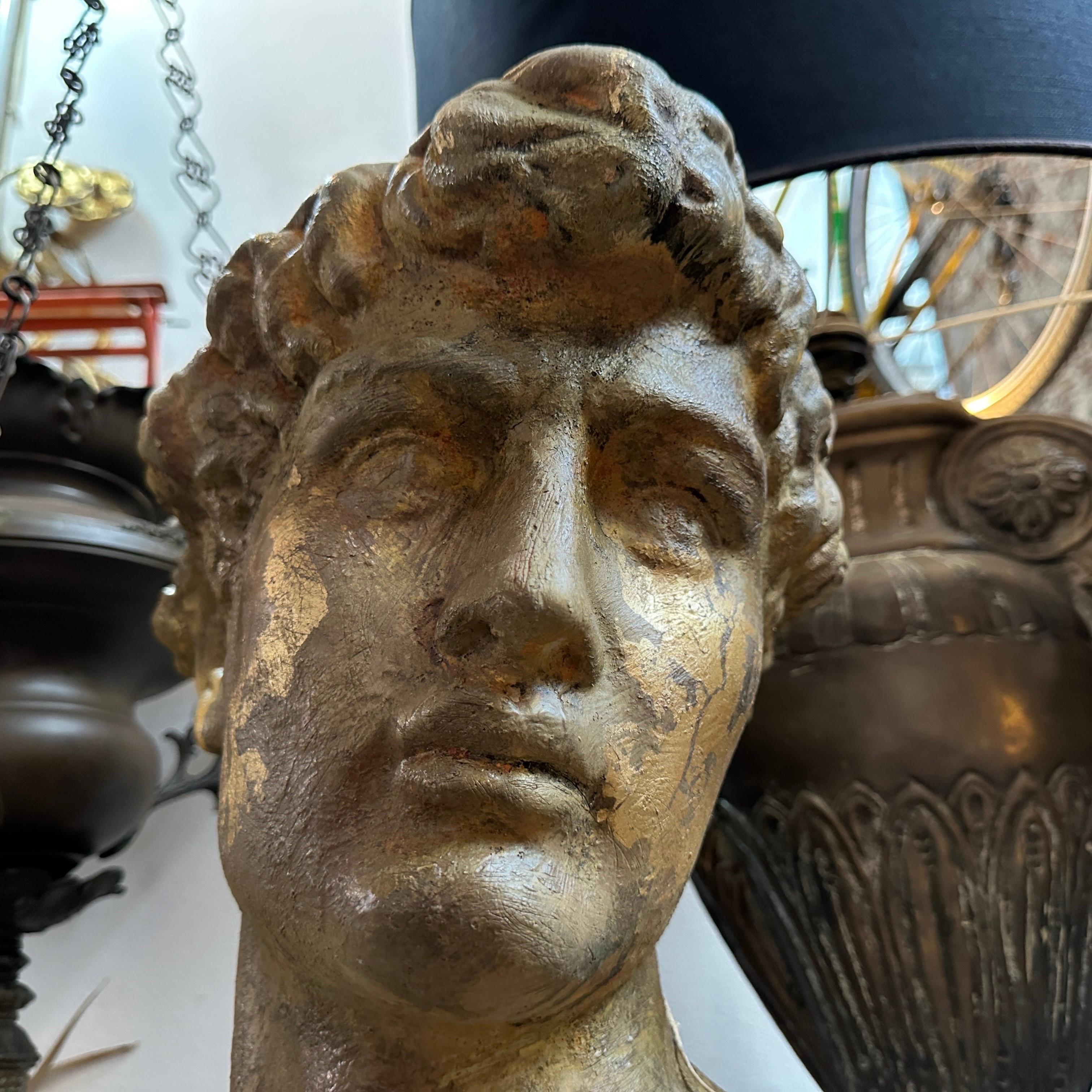 1950s Neoclassical revival Gilded Plaster Italian Bust of David 4