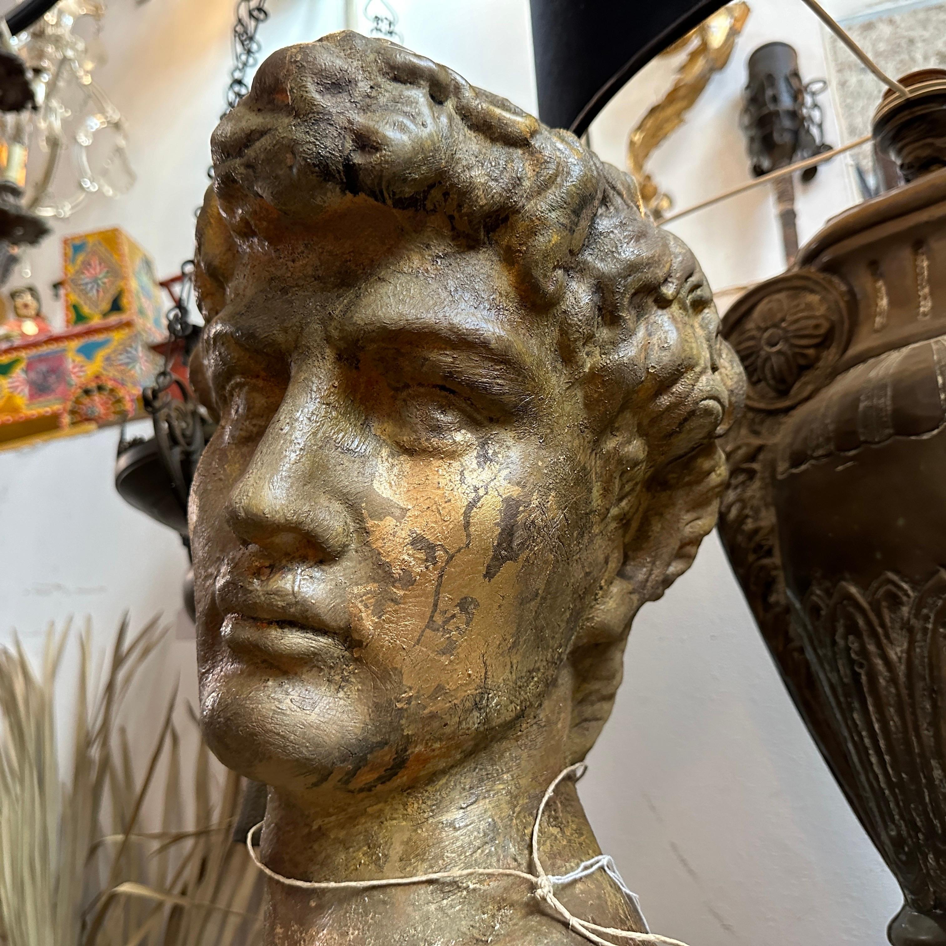 1950s Neoclassical revival Gilded Plaster Italian Bust of David 1