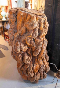 1950s Organic Sculpture in Olive Wood Root