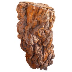 1950s Organic Sculpture in Olive Wood Root