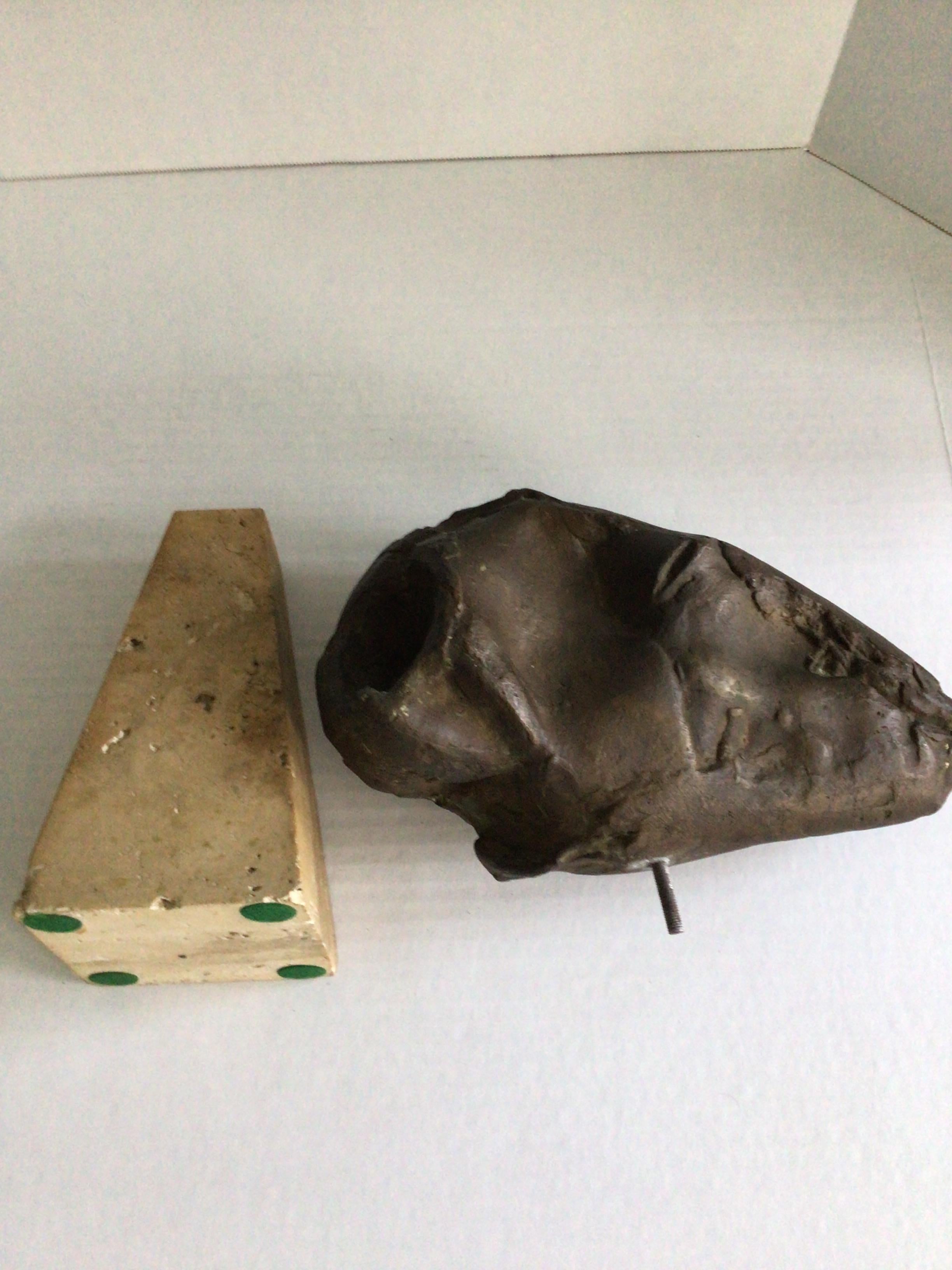 Fossile a testa d'ariete in ceramica dipinta del 1950 su base di travertino in vendita 6