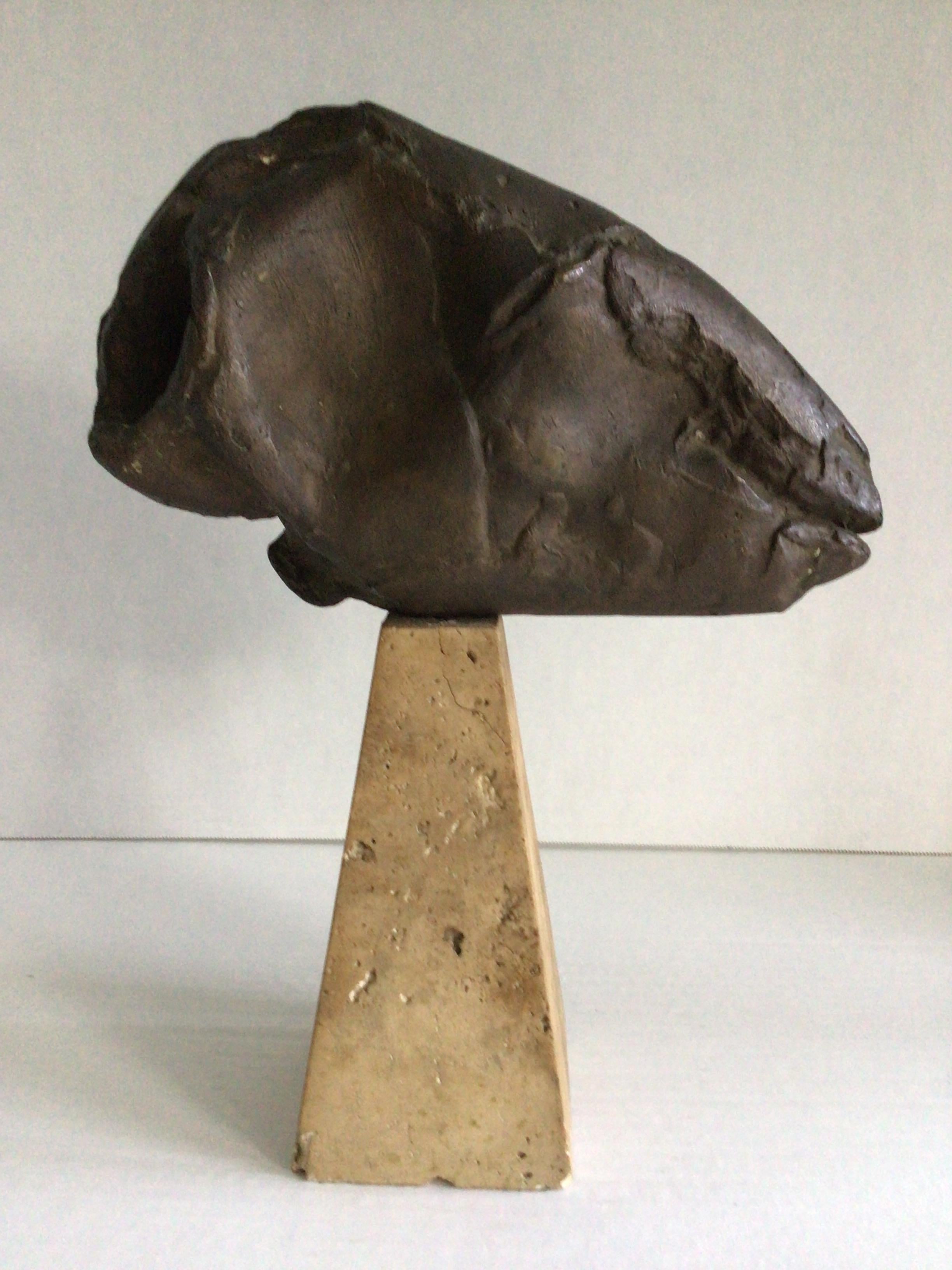 Metà XX secolo Fossile a testa d'ariete in ceramica dipinta del 1950 su base di travertino in vendita