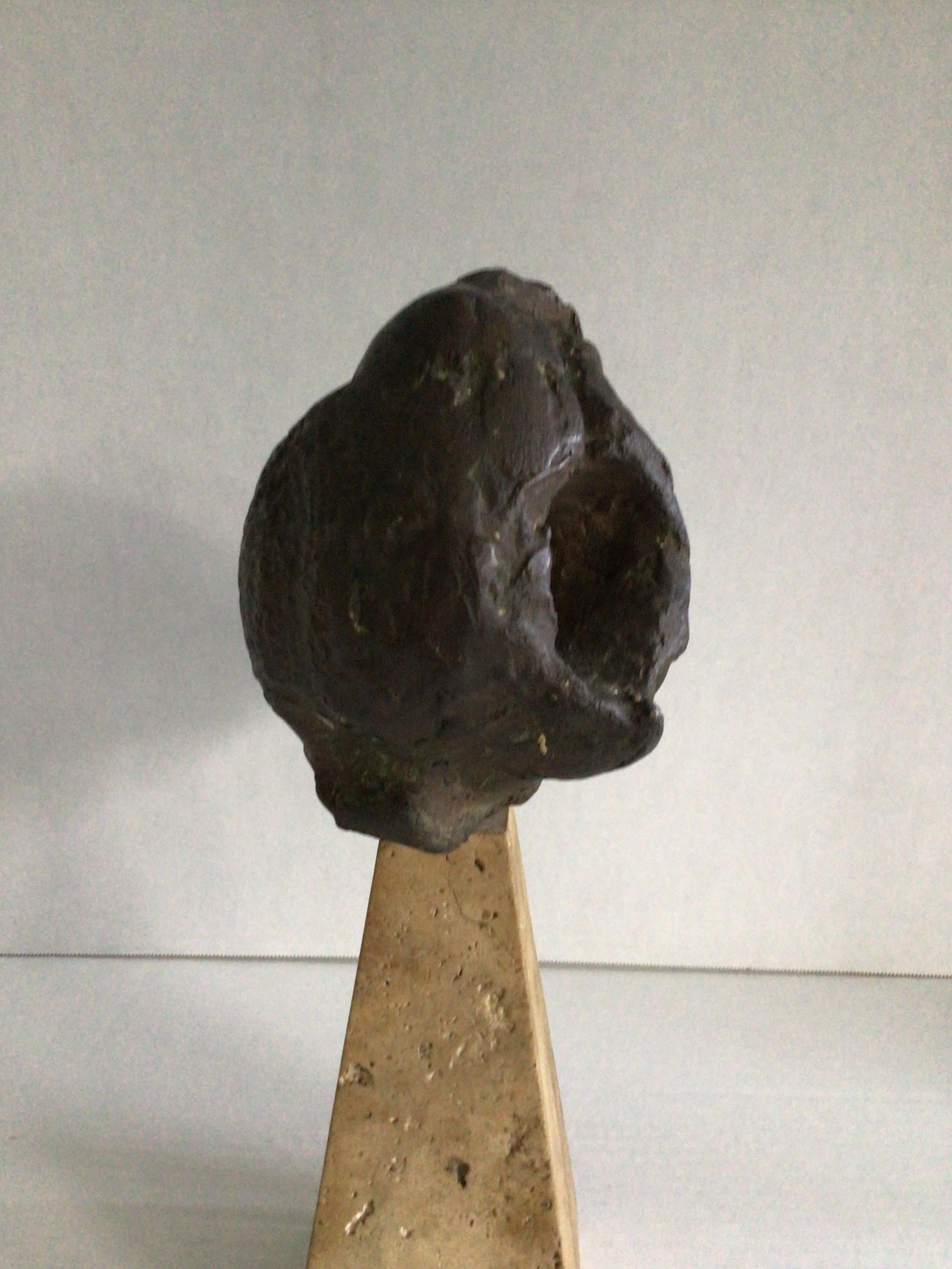 Ceramica Fossile a testa d'ariete in ceramica dipinta del 1950 su base di travertino in vendita