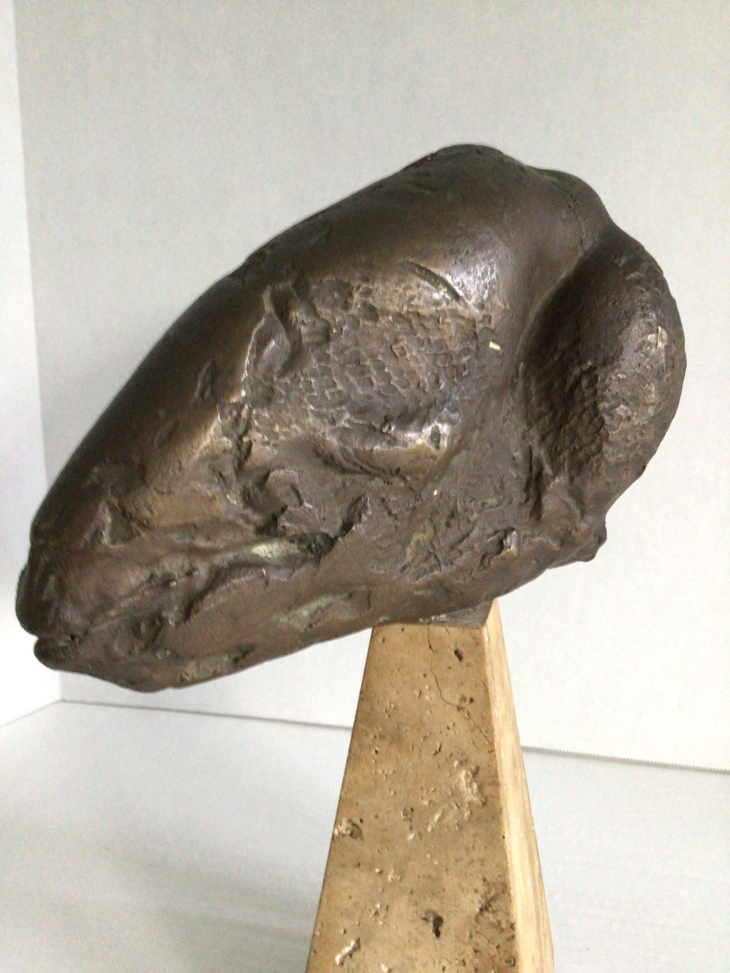 Fossile a testa d'ariete in ceramica dipinta del 1950 su base di travertino in vendita 1