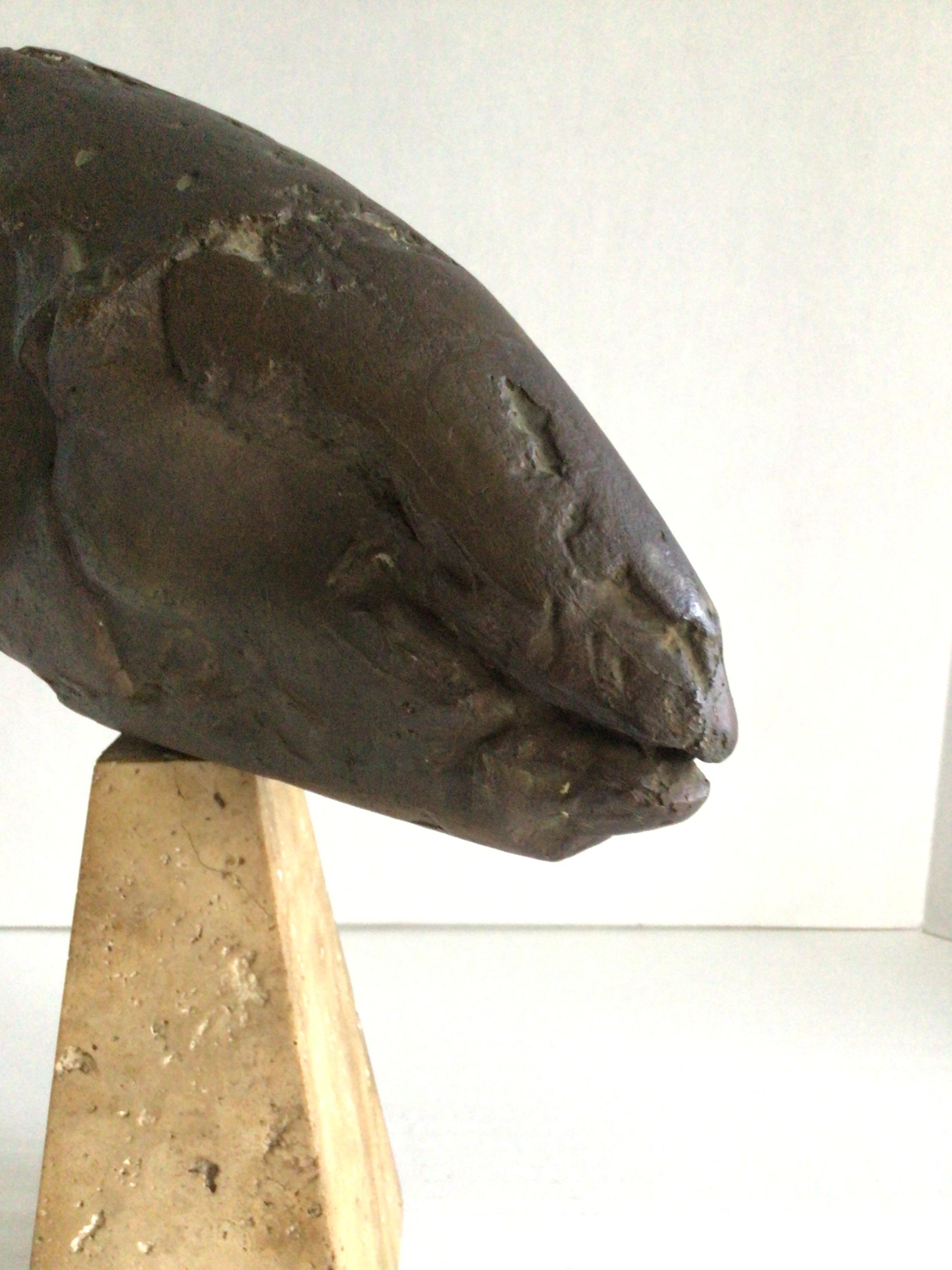 Fossile a testa d'ariete in ceramica dipinta del 1950 su base di travertino in vendita 2