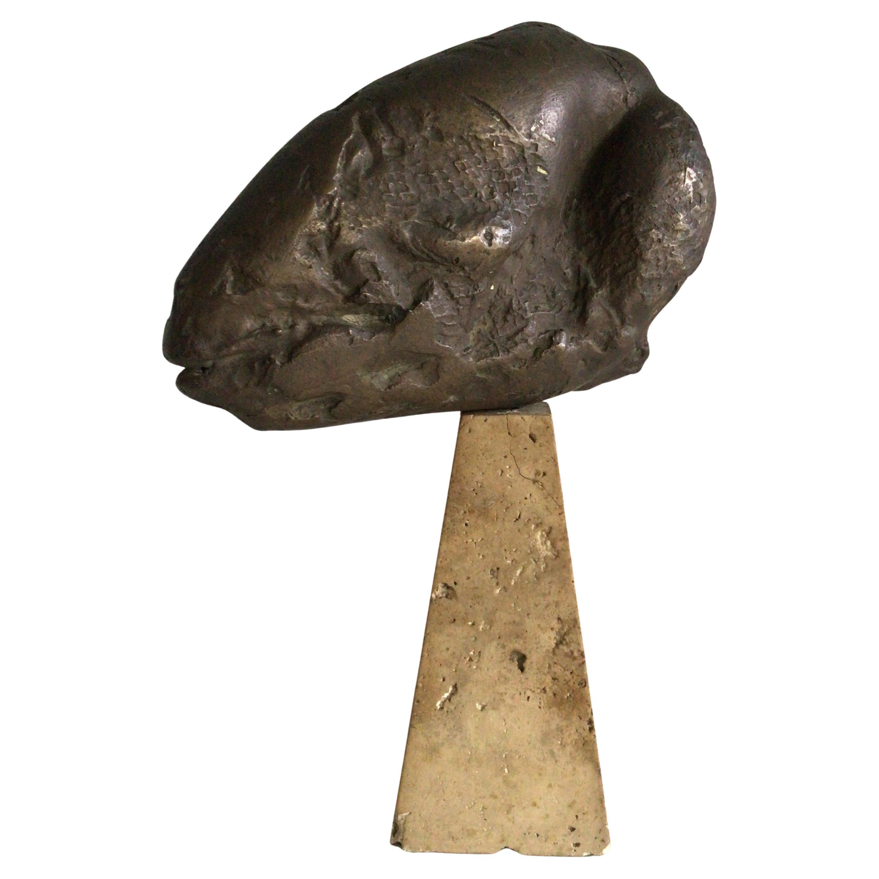 Fossile a testa d
ariete in ceramica dipinta del 1950 su base di travertino in vendita