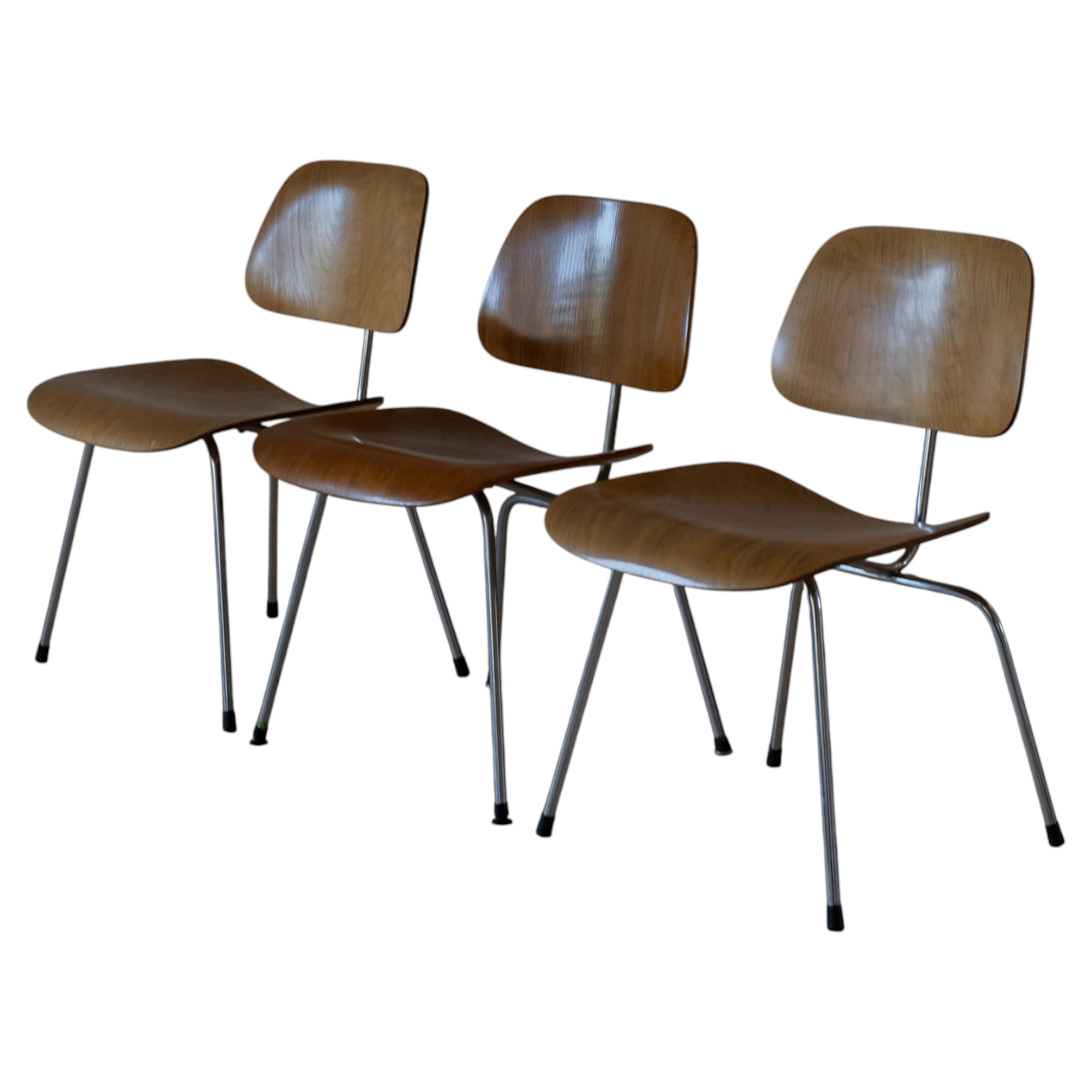 1950s Charles and Ray Eames DCM Dining Chairs by Herman Miller, USA