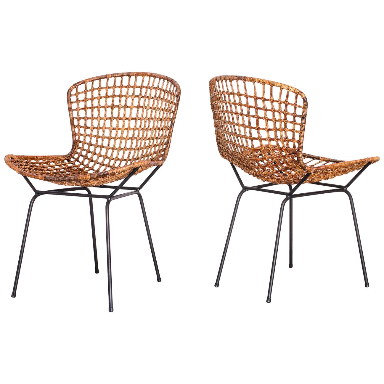 1950s Pair of Side Chairs in Iron and Reed by Carlo Hauner, Brazilian Modernism