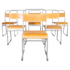 Años 50 Pel  Sillas de Comedor de Metal Gris Tubular - Gran Cantidad Disponible