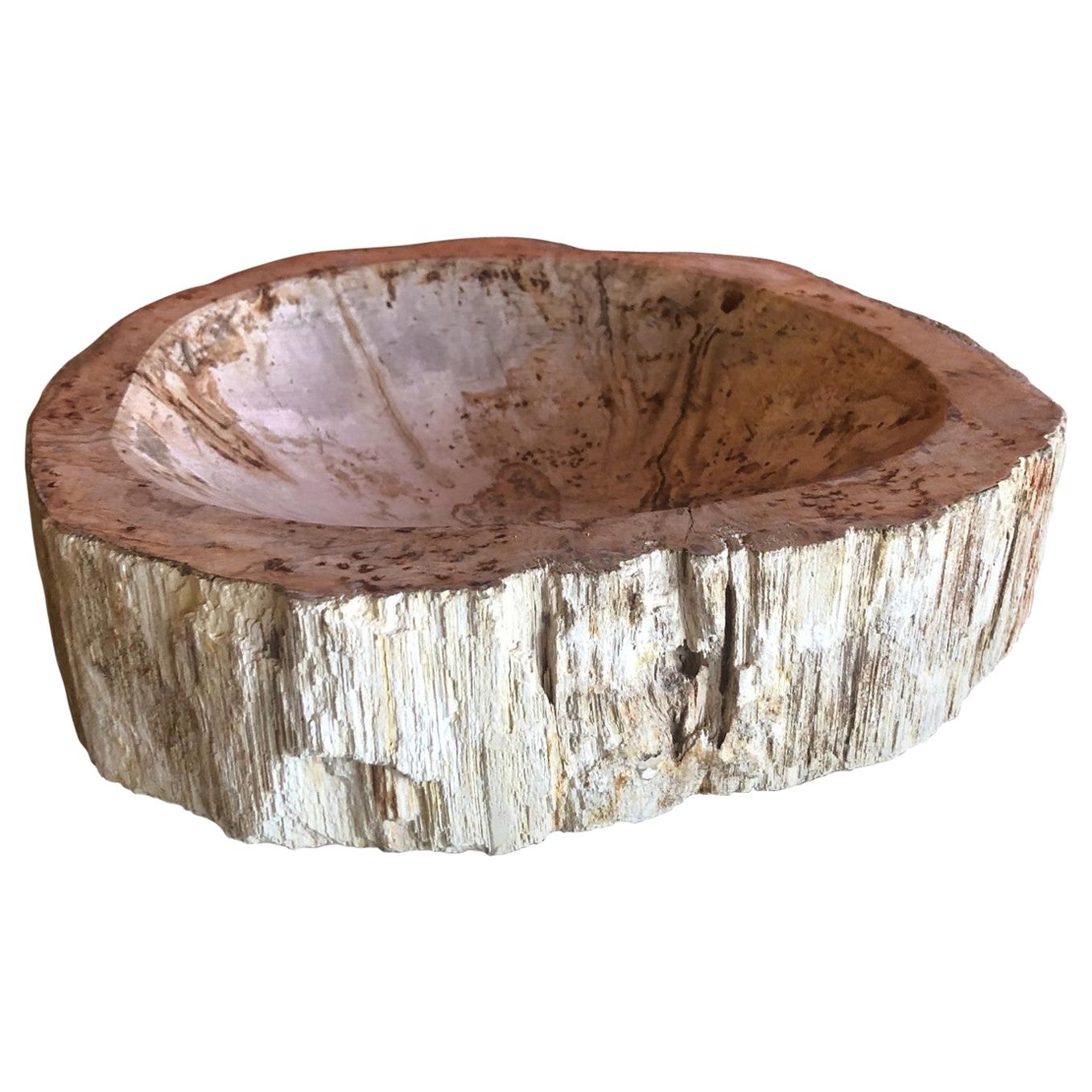 1950s Petrified Wood Bowl / Ashtray