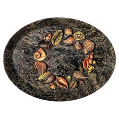 Italienisches Emaille-Metalltablett von Piero Fornasetti aus den 1950er Jahren mit Muscheldekor