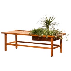 1950s, Plant Bench / Coffee Table by Yngve Ekström in Teak