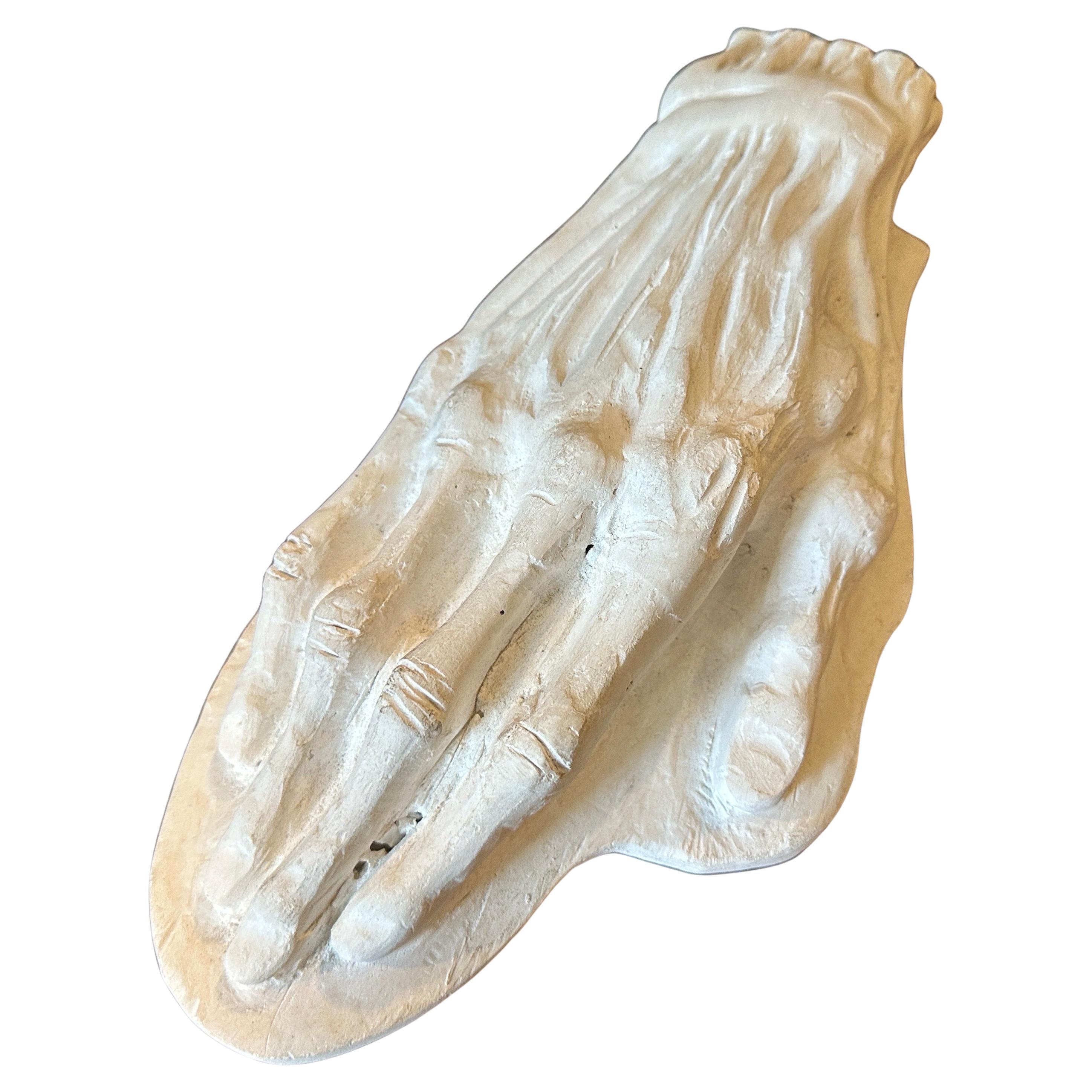 1950s Plaster Anatomic School Study of a Human Hand
