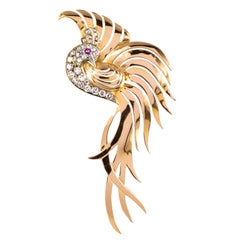 1950er Jahre Retro Diamanten Rubin 18 Karat Gelbgold Vogel des Paradieses Brosche