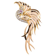 1950s Retro Diamonds Ruby 18 Karat Yellow Gold Bird of Paradise Brooch