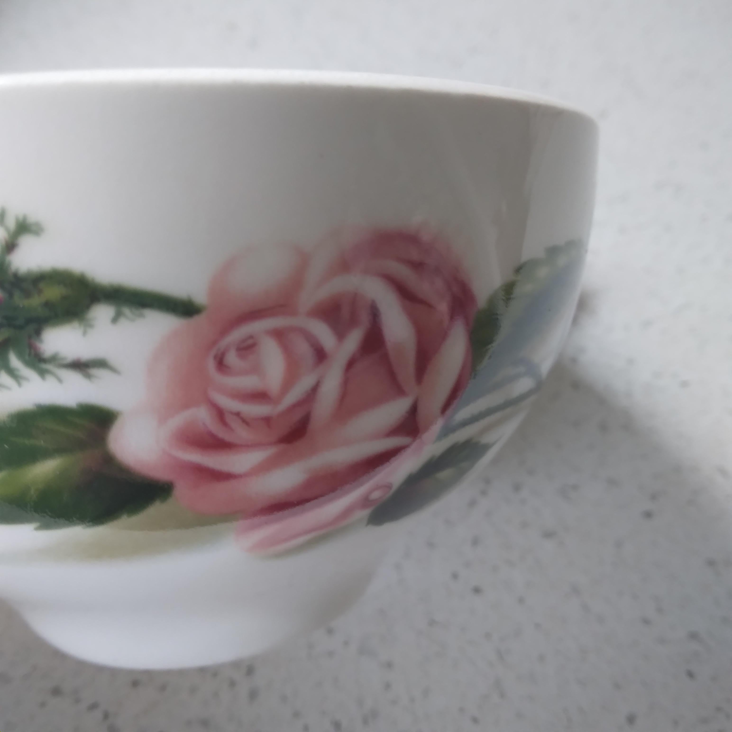 1950's Rose Moss Tea Cup and Saucer - Set of Four For Sale 3