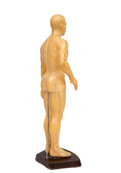 1950s Cuerpo humano de goma para modelo de acupuntura China