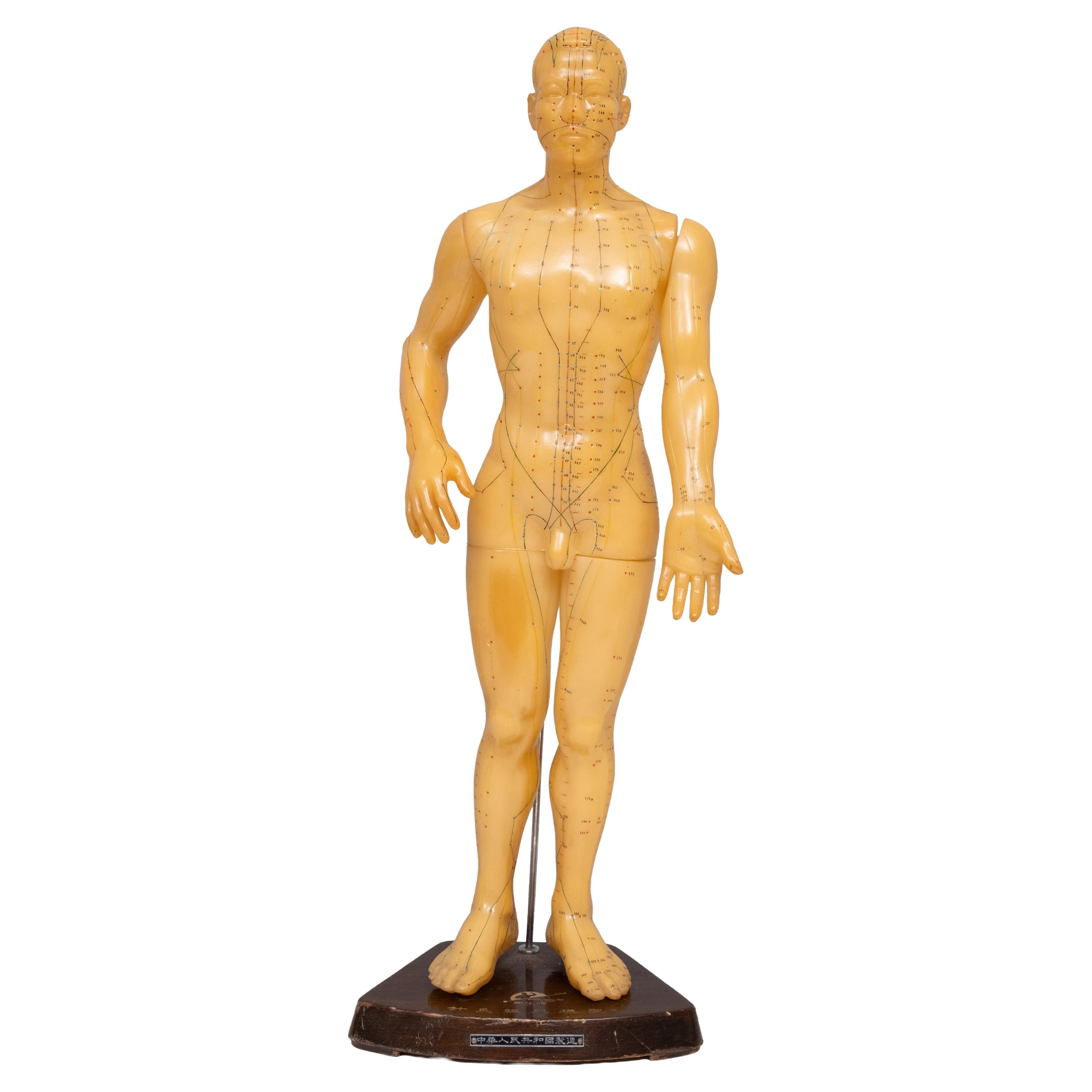 1950s Rubber Human body for Acupuncture Model China For Sale