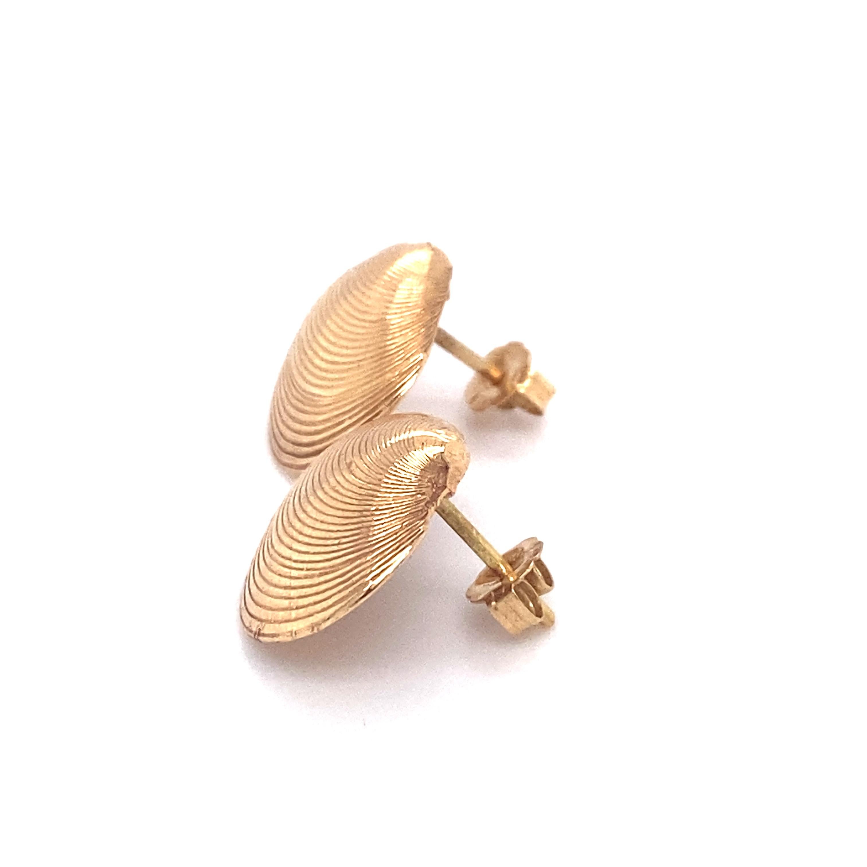 gold seashell earrings