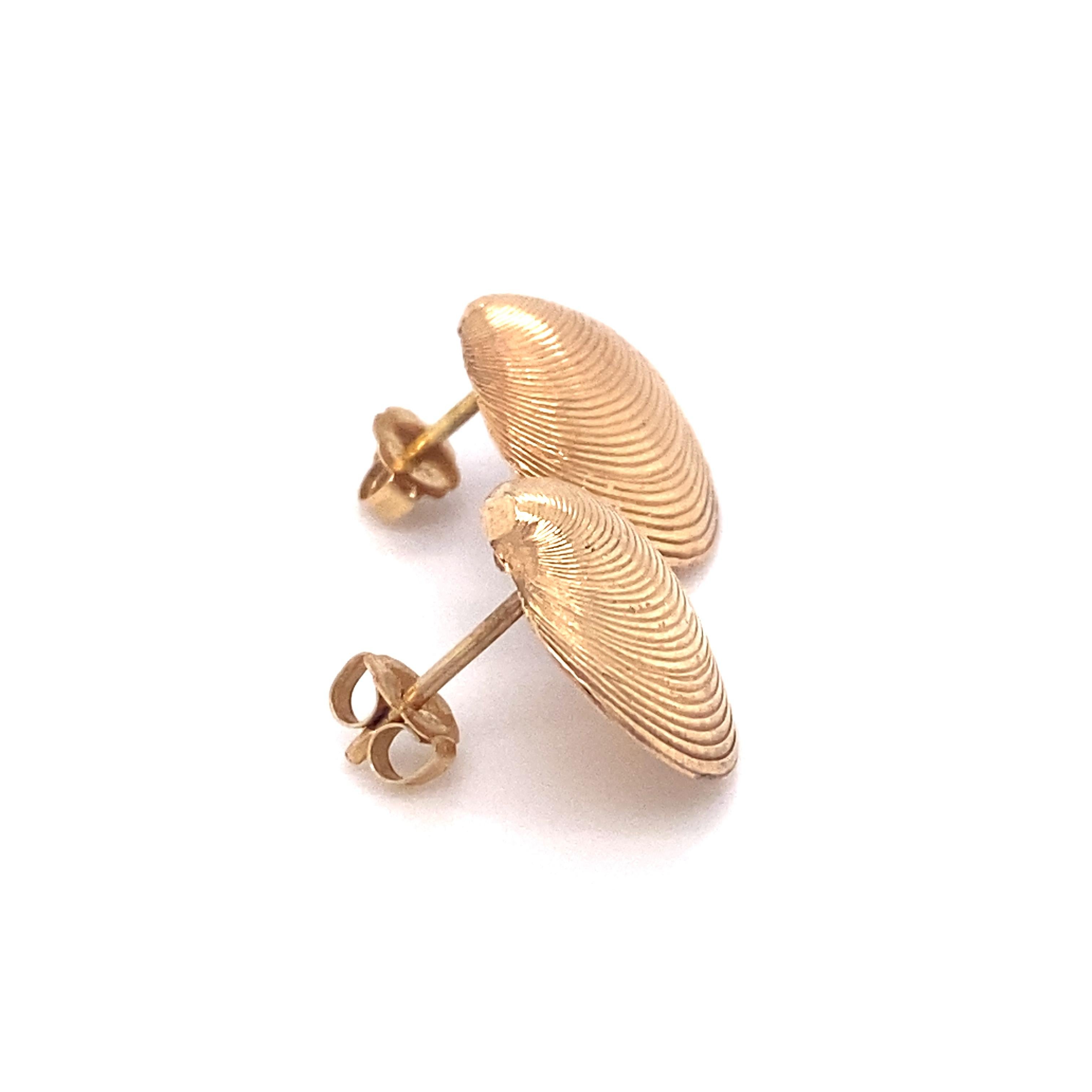 seashell gold earrings
